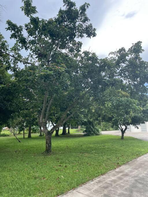 La Finca... Beautiful Countryside Home ! North North Naples Extérieur photo